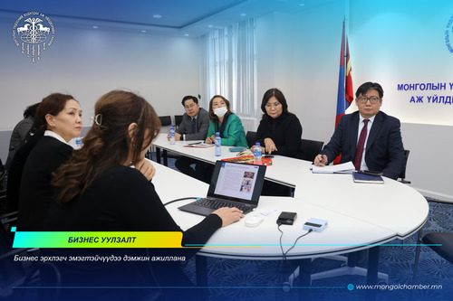 МҮХАҮТ-ЫН ДЭРГЭДЭХ БИЗНЕС ЭРХЛЭГЧ ЭМЭГТЭЙЧҮҮДИЙН ЗӨВЛӨЛИЙНХӨНТЭЙ УУЛЗЛАА